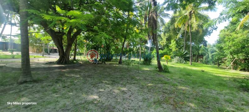 3 bedroom Detached Bungalow For Sale Kanamai Road Near Salama Beach Hotel Kanamai Mtwapa Kilifi - 9