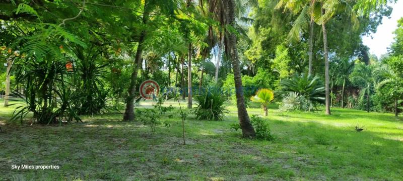3 bedroom Detached Bungalow For Sale Kanamai Road Near Salama Beach Hotel Kanamai Mtwapa Kilifi - 6