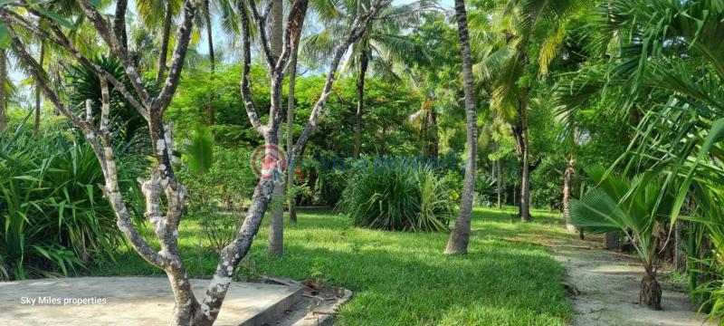 3 bedroom Detached Bungalow For Sale Kanamai Road Near Salama Beach Hotel Kanamai Mtwapa Kilifi - 4