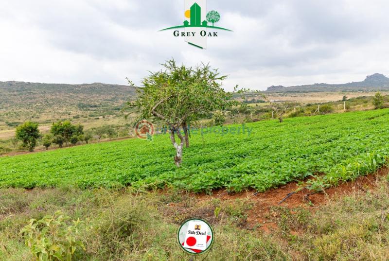 Mixed use Land For Sale Past Kinanie Daystar Road Athi River Machakos - 14