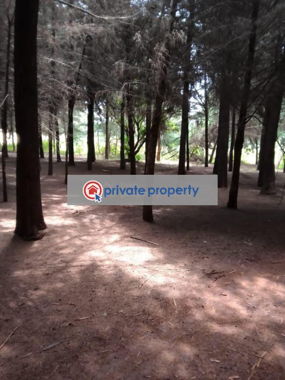 Land For Sale &nbsp;gatundu Road Juja Kiambu - 1