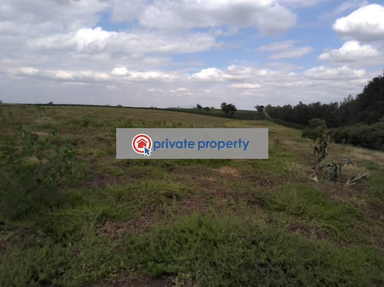 Land For Sale &nbsp;gatundu Road Juja Kiambu - 8