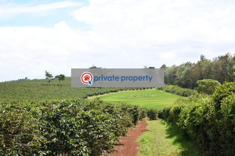 Land For Sale &nbsp;gatundu Road Juja Kiambu - 10