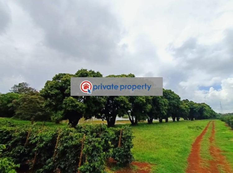 Land For Sale &nbsp;gatundu Road Juja Kiambu - 2