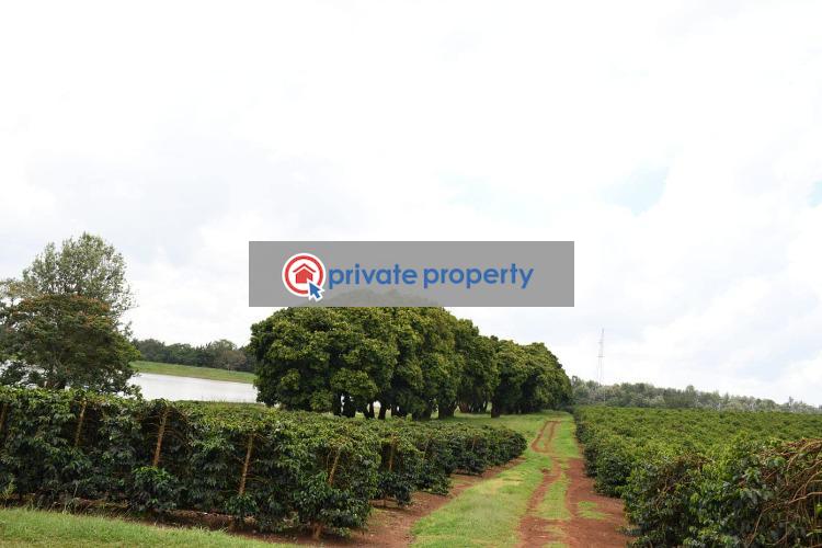 Land For Sale gatundu Road Juja Kiambu (PID 3PAECA) Private Property