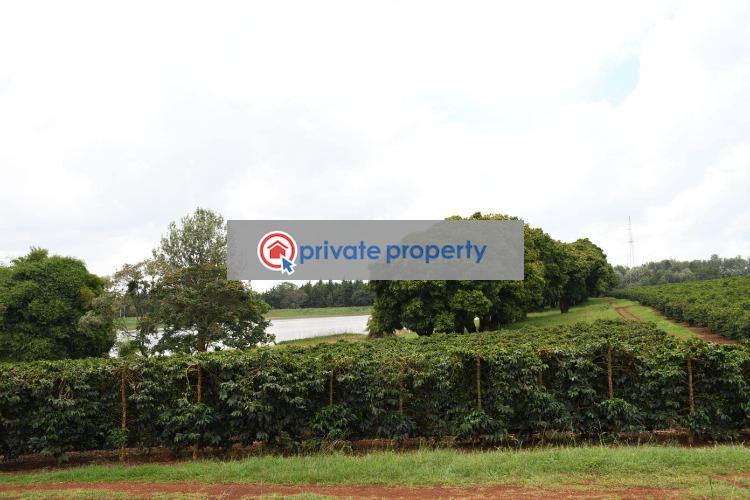 Land For Sale gatundu Road Juja Kiambu (PID 3PAECA) Private Property