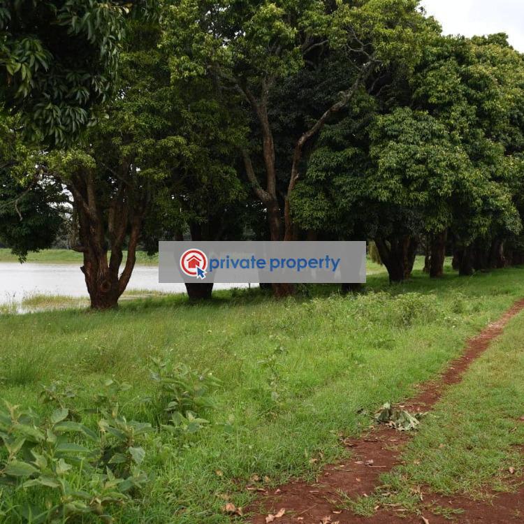 Land For Sale &nbsp;gatundu Road Juja Kiambu - 3