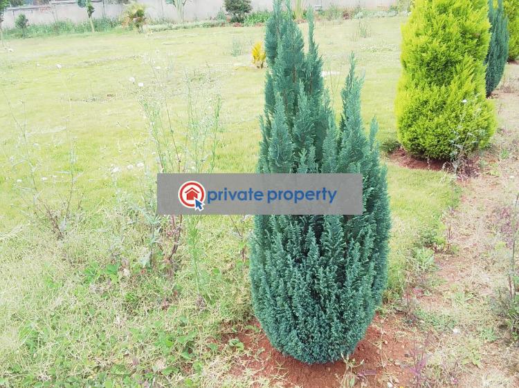 6 bedroom House For Sale &nbsp;karen Karen Nairobi - 7
