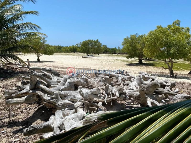 10 bedroom Hotel / Guest House For Sale Funzi , Island Diani Beach Ukunda Kwale - 4