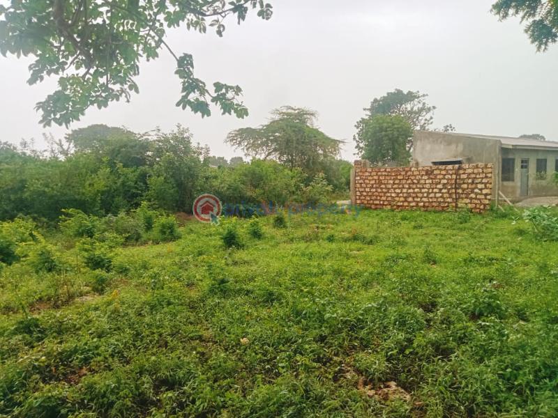 Land For Sale Kilifi Bofa Kibarani Kilifi - 4