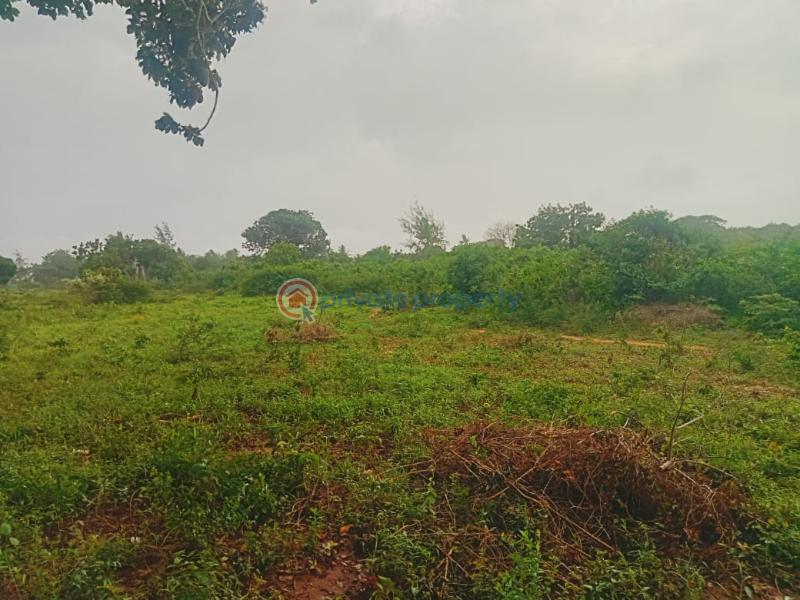 Land For Sale Kilifi Bofa Kibarani Kilifi - 2