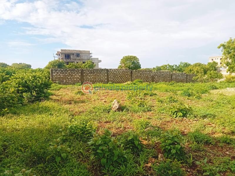 Land For Sale Kilifi Bofa Kibarani Kilifi - 5