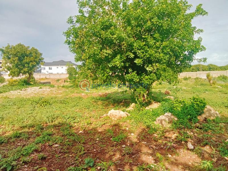 Land For Sale Kilifi Bofa Kibarani Kilifi - 7