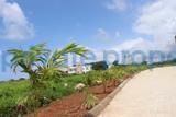 Land For Sale Vipingo Beach Estate Vipingo Beach. Mtwapa Kilifi - 1