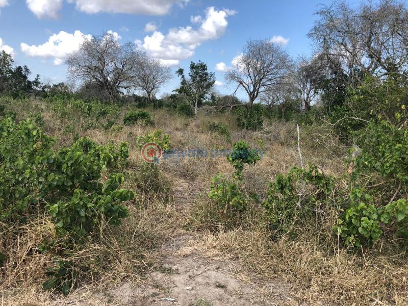 Land For Sale Malindi Malindi Town Kilifi - 6