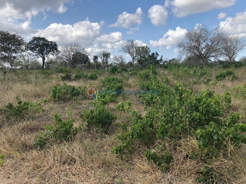 Land For Sale Malindi Malindi Town Kilifi - 1