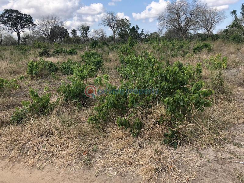 Land For Sale Malindi Malindi Town Kilifi - 3