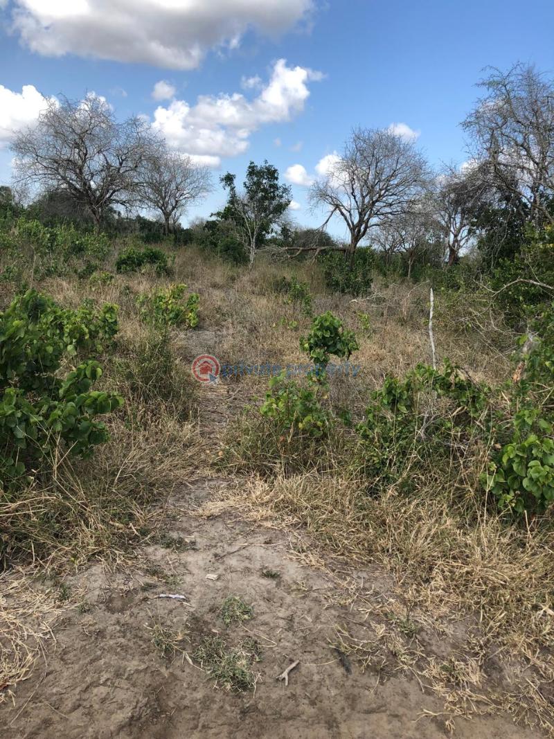 Land For Sale Malindi Malindi Town Kilifi - 2