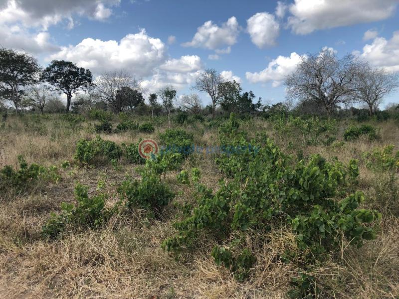 Land For Sale Malindi Malindi Town Kilifi - 5