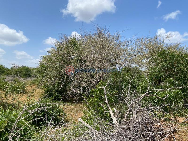Land For Sale Malindi Tsavo Road Chakama. Kilifi - 2