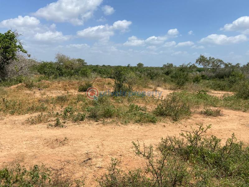 Land For Sale Malindi Tsavo Road Chakama. Kilifi - 8
