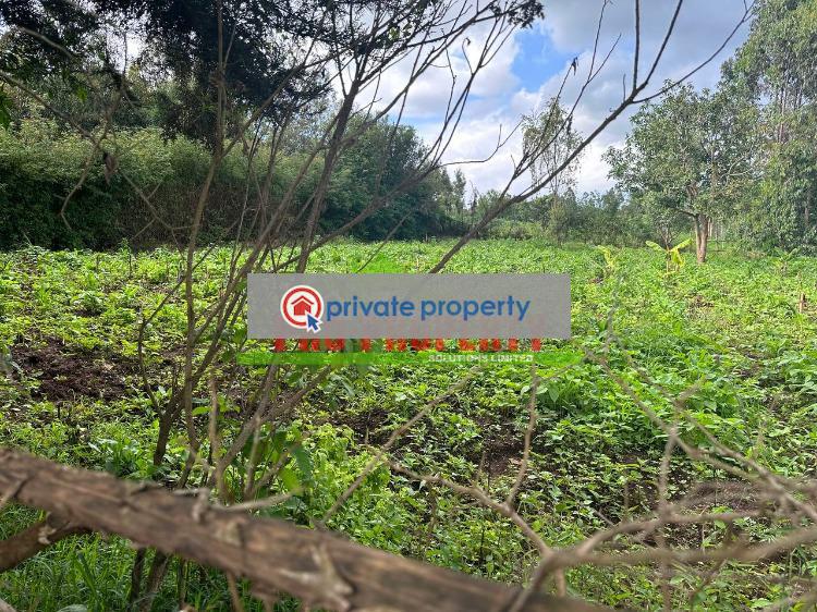 Residential Land For Sale &nbsp;thigio Kikuyu Kiambu - 7