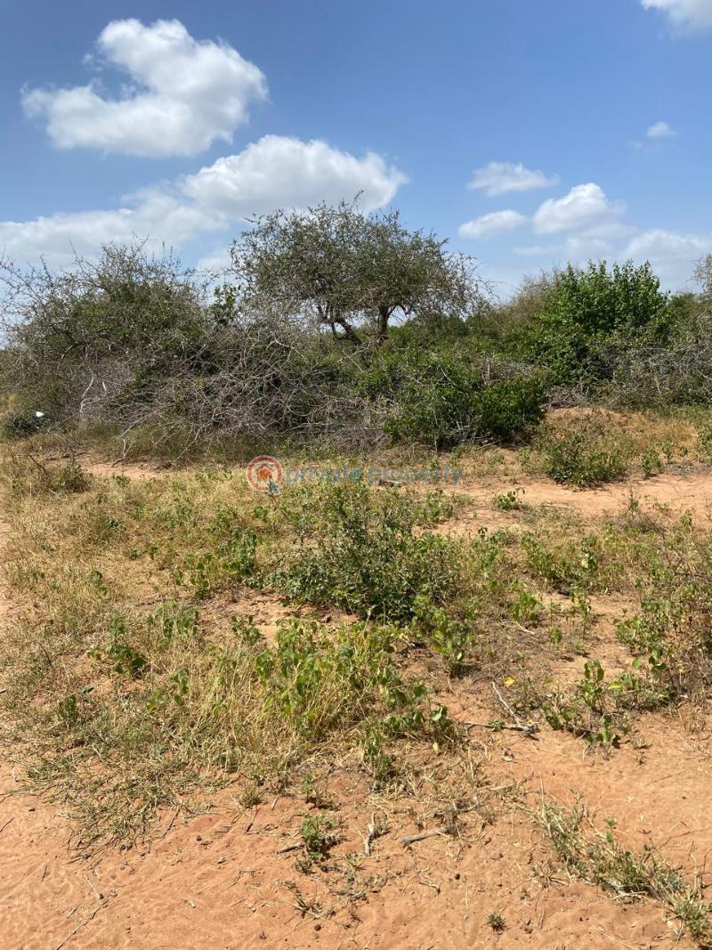 Land For Sale Malindi Tsavo Road Chakama. Kilifi - 11