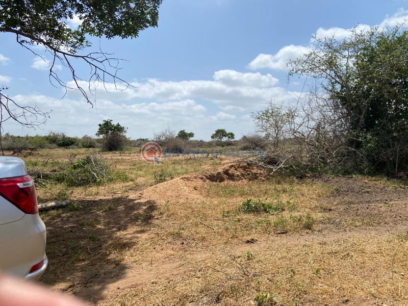 Land For Sale Malindi Tsavo Road Chakama. Kilifi - 2