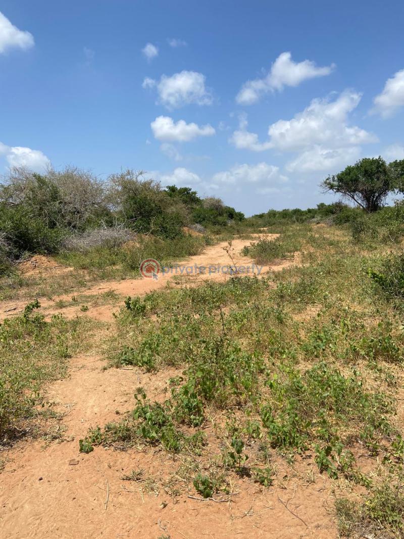Land For Sale Malindi Tsavo Road Chakama. Kilifi - 12