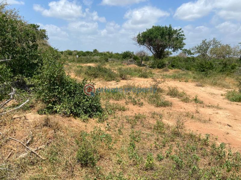 Land For Sale Malindi Tsavo Road Chakama. Kilifi - 9