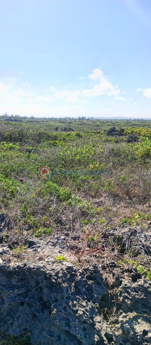 Land For Sale Tezo Beach Tezo Kilifi  - 4