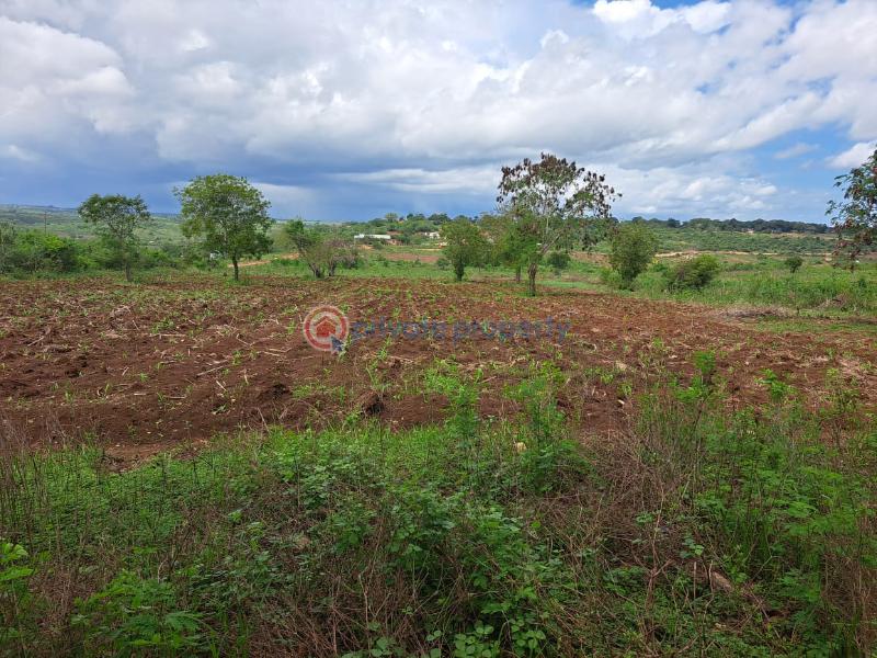 Land For Sale Kaloleni Road Mavueni Bypass Mariakani Kilifi - 1