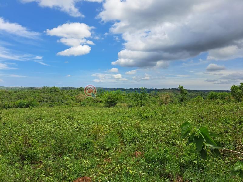 Land For Sale Kaloleni Road Mavueni Bypass Mariakani Kilifi - 5