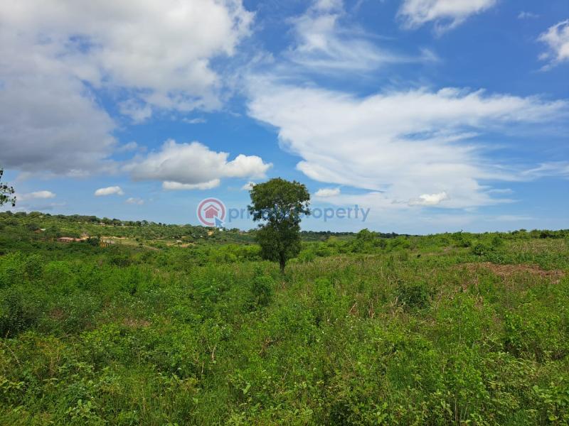 Land For Sale Kaloleni Road Mavueni Bypass Mariakani Kilifi - 4