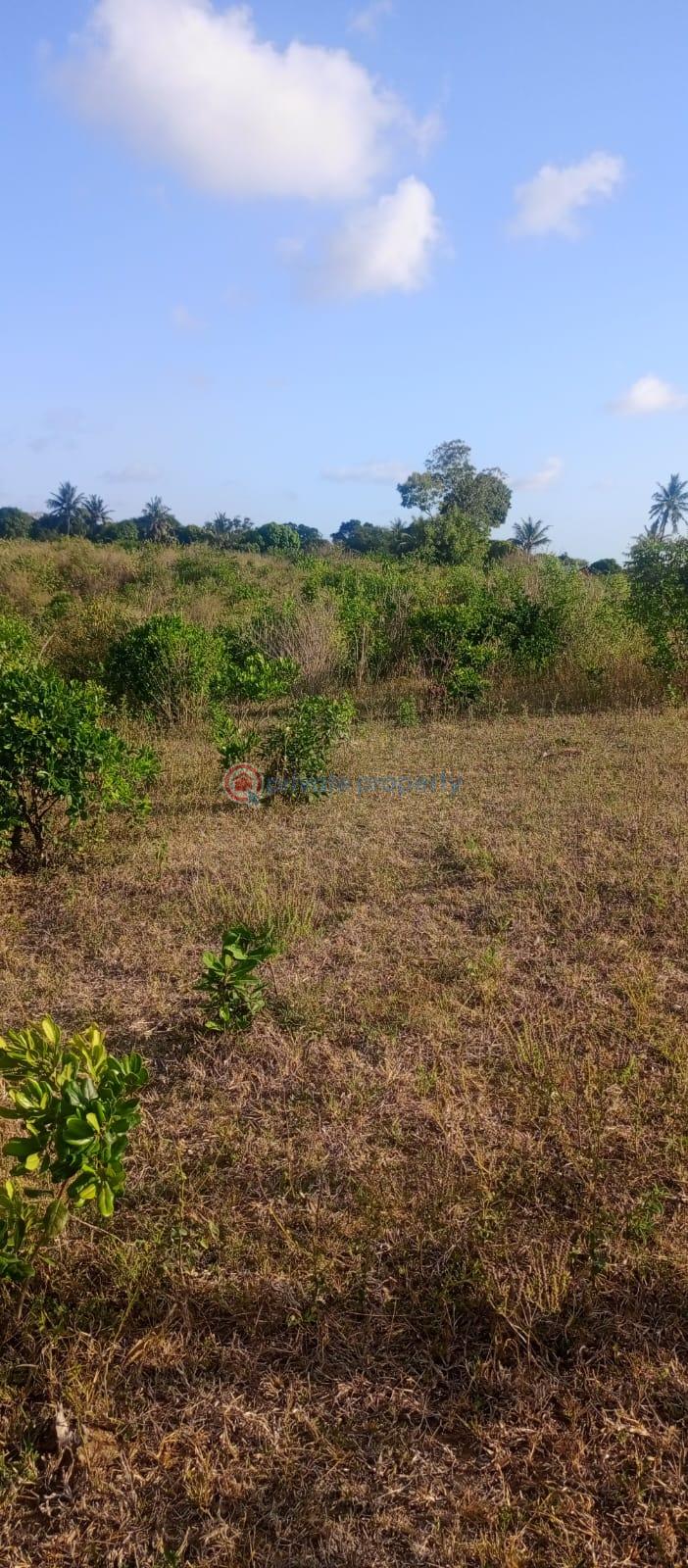 Land For Sale Mavueni Roka Sokoni Kilifi - 4