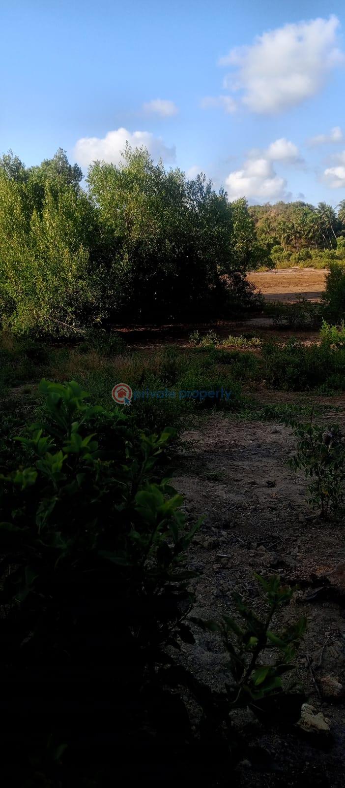 Land For Sale Mavueni Roka Sokoni Kilifi - 3
