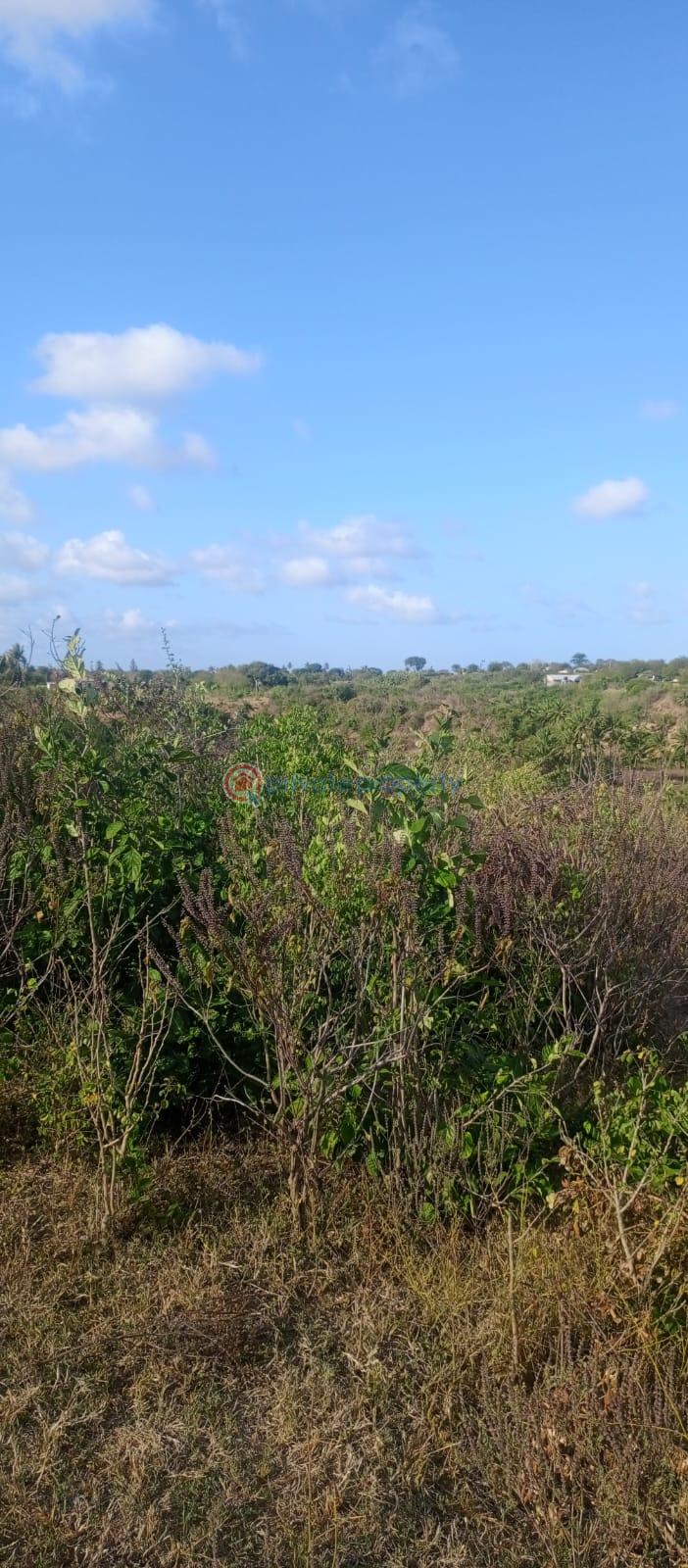 Land For Sale Mavueni Roka Sokoni Kilifi - 5