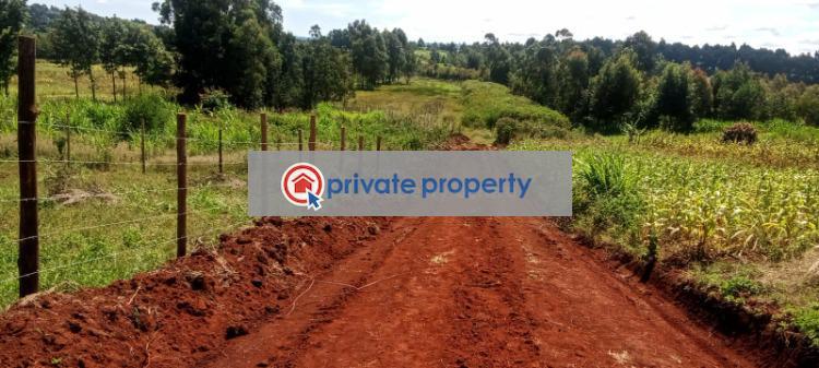 Residential Land For Sale &nbsp;ng'amba Kikuyu Kiambu - 5