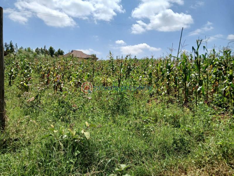 Residential Land For Sale Kamangu Kikuyu Kiambu - 7