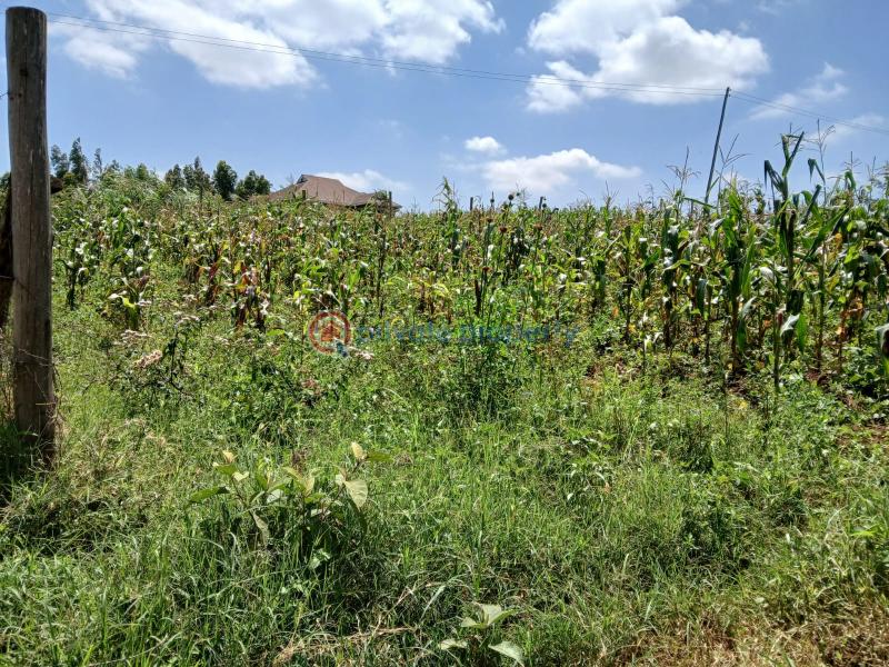 Residential Land For Sale Kamangu Kikuyu Kiambu - 2