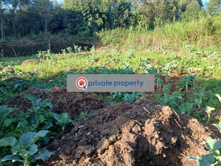 Residential Land For Sale &nbsp;migumo Ini Area Kikuyu Kiambu - 4