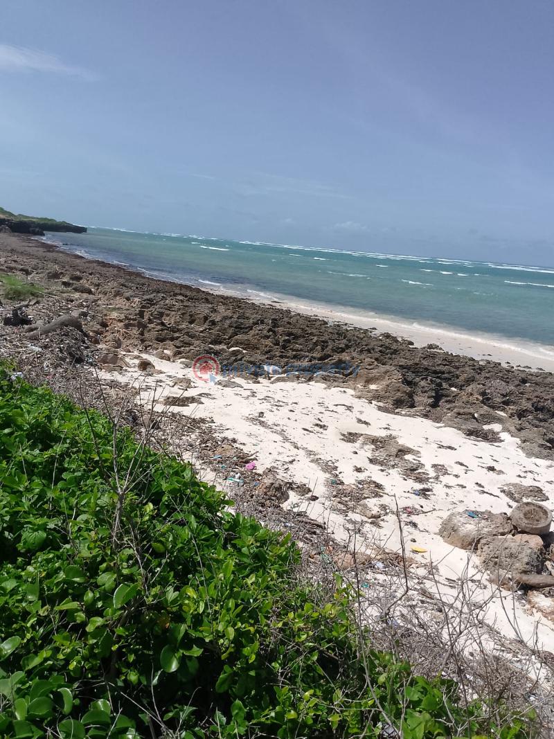 Land For Sale Chumani Beach Tezo Kilifi  - 4