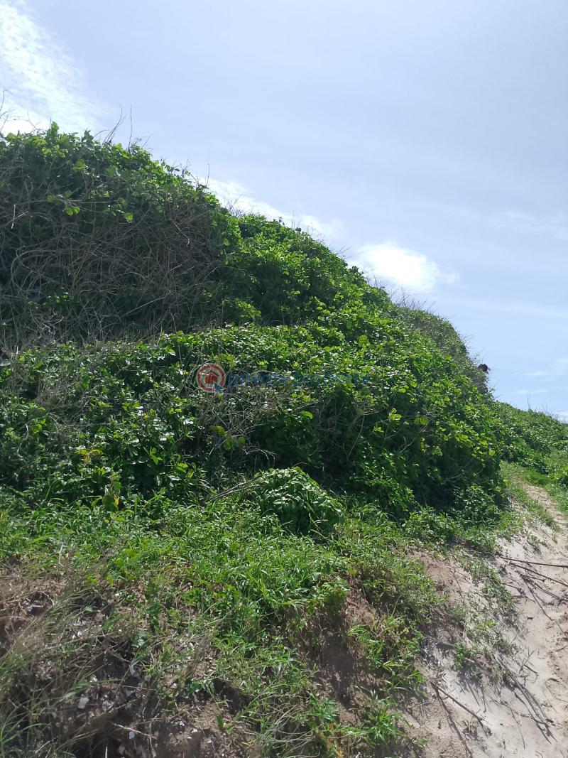 Land For Sale Chumani Beach Tezo Kilifi  - 5