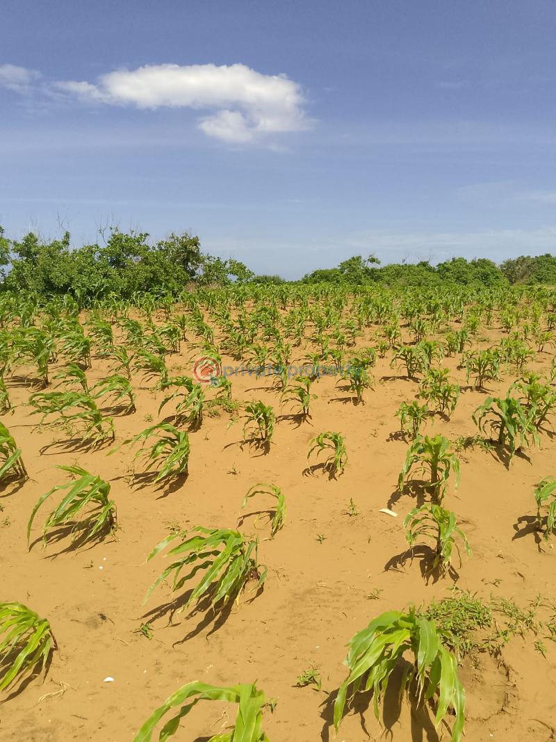 Land For Sale Chumani Beach Tezo Kilifi  - 11
