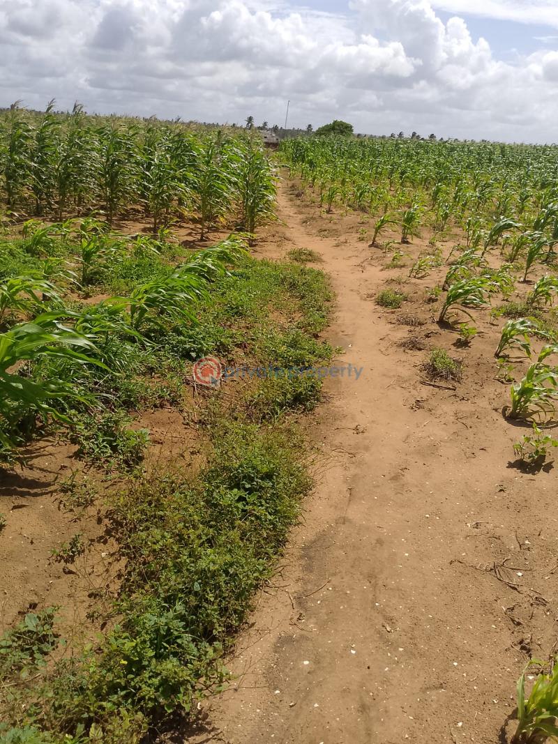 Land For Sale Chumani Beach Tezo Kilifi  - 14
