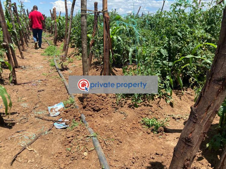 Mixed use Land For Sale &nbsp;rumuruti Town Rumuruti Rumuruti Township Laikipia - 4