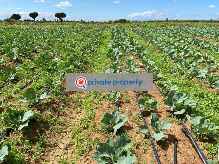 Mixed use Land For Sale &nbsp;rumuruti Town Rumuruti Rumuruti Township Laikipia - 6