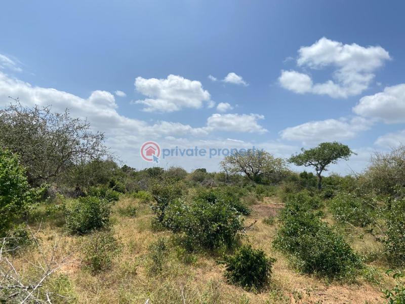Land For Sale Malindi Tsavo Road Chakama. Kilifi - 9