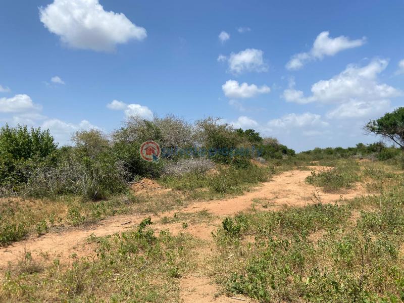 Land For Sale Malindi Tsavo Road Chakama. Kilifi - 10