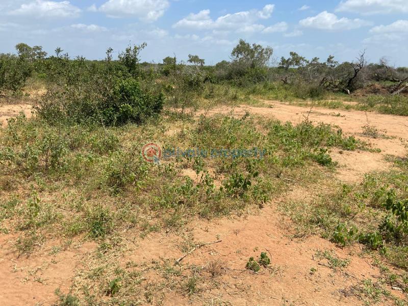 Land For Sale Malindi Tsavo Road Chakama. Kilifi - 8